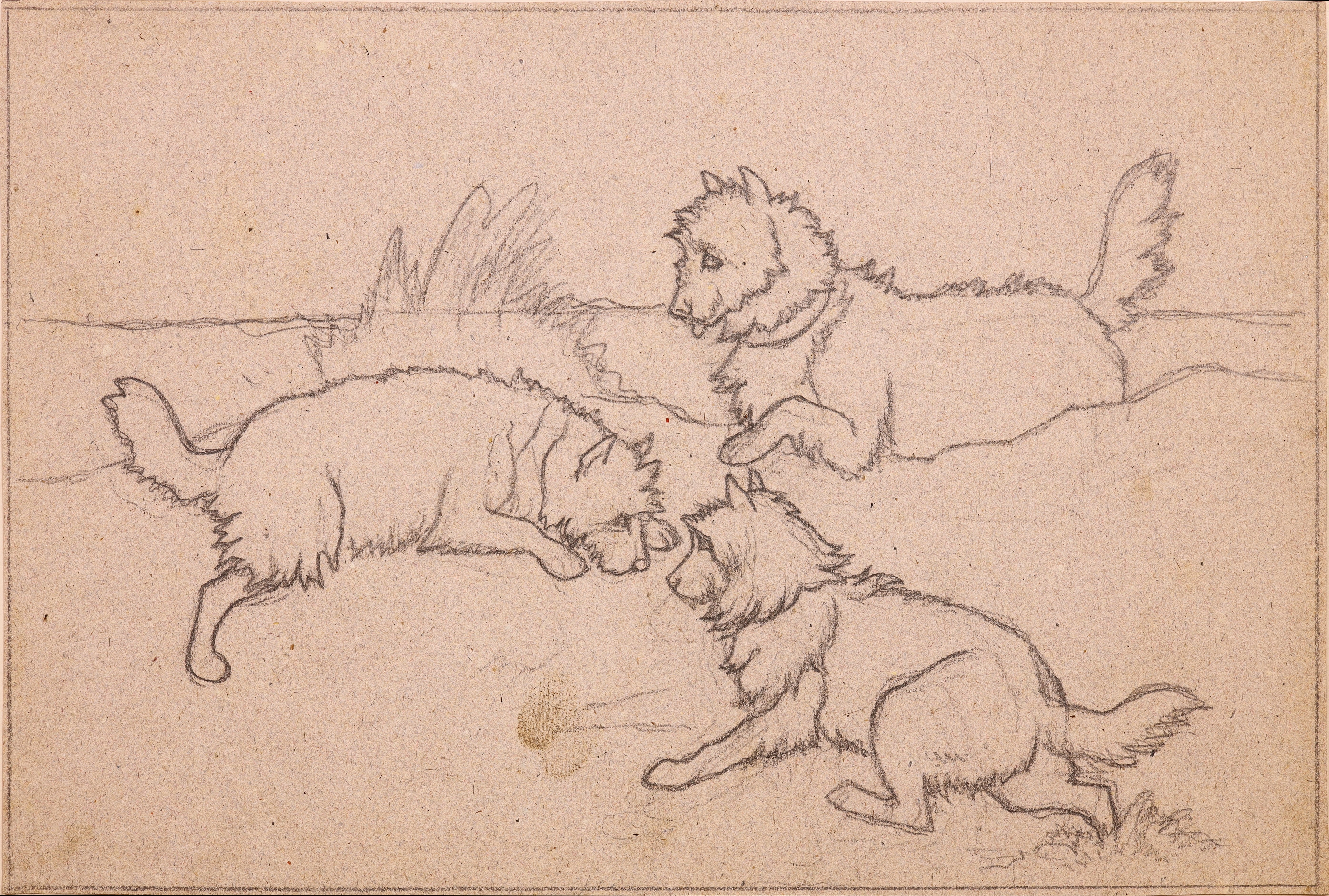 Drei spielende Hunde (Stift Heiligenkreuz CC BY-NC-SA)