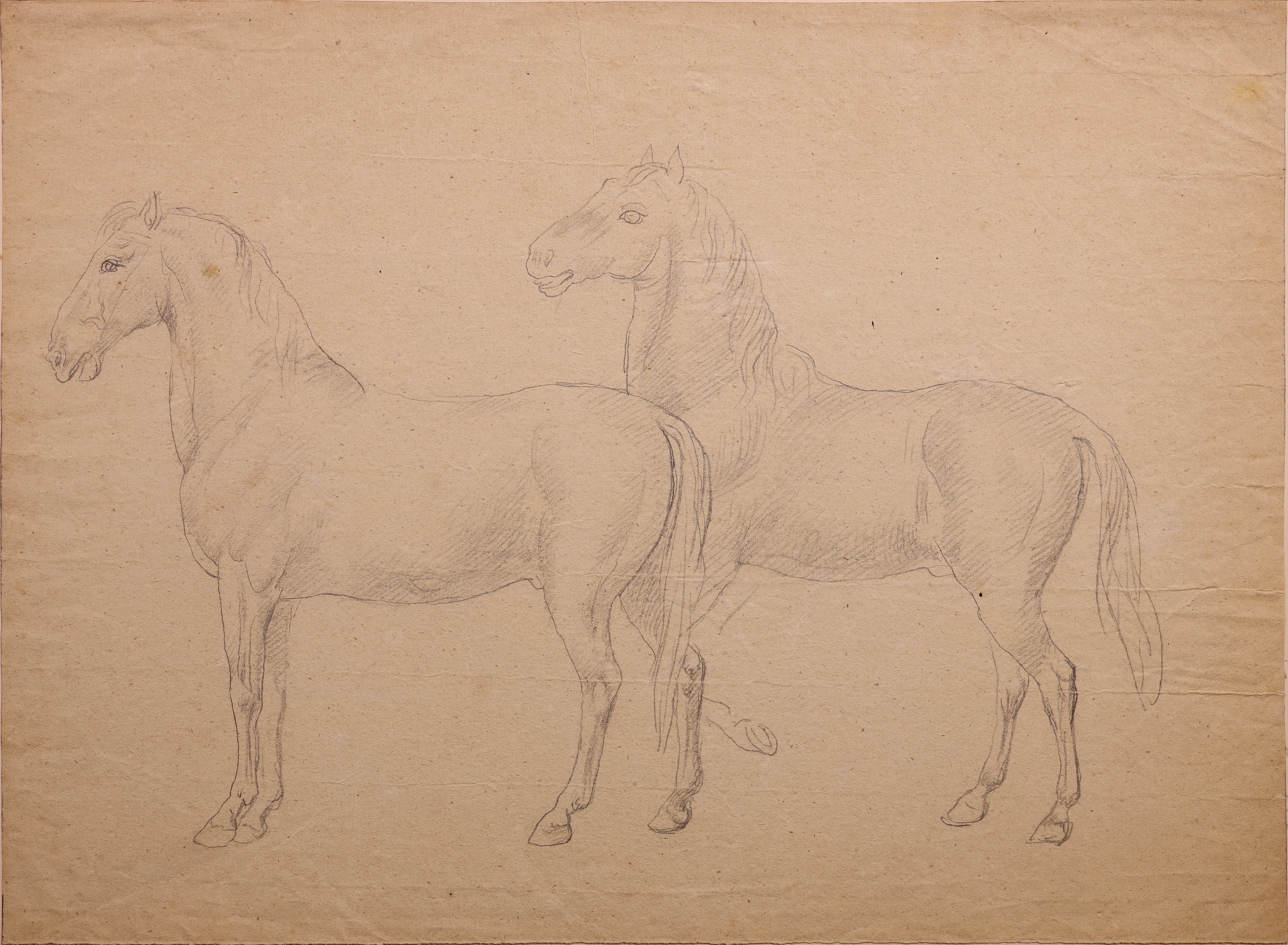 Zwei nach links stehende Pferde (Stift Heiligenkreuz CC BY-NC-SA)