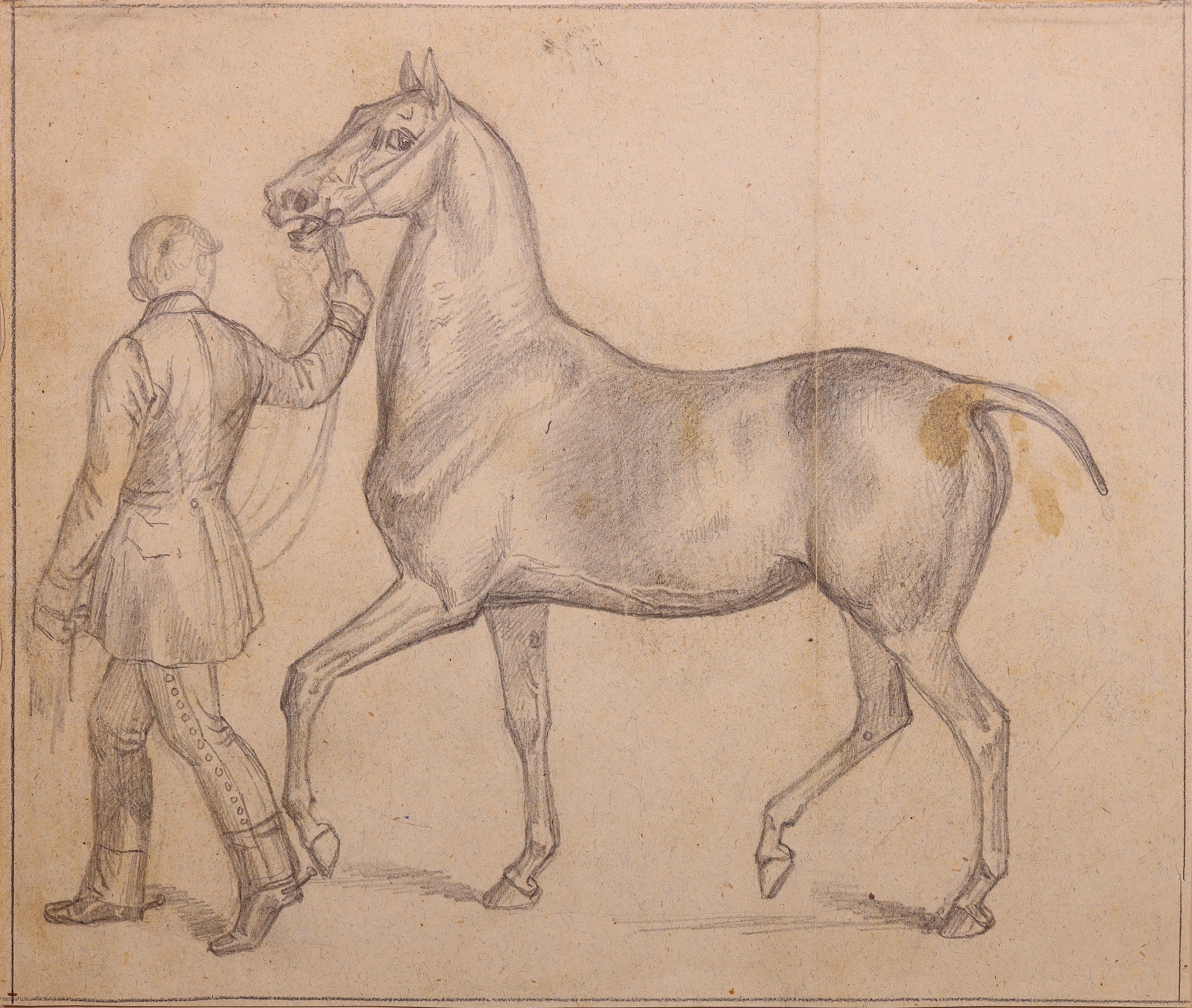 Ein prächtiges Pferd wird von seinem Reiter am Zügel nach links geführt (Stift Heiligenkreuz CC BY-NC-SA)