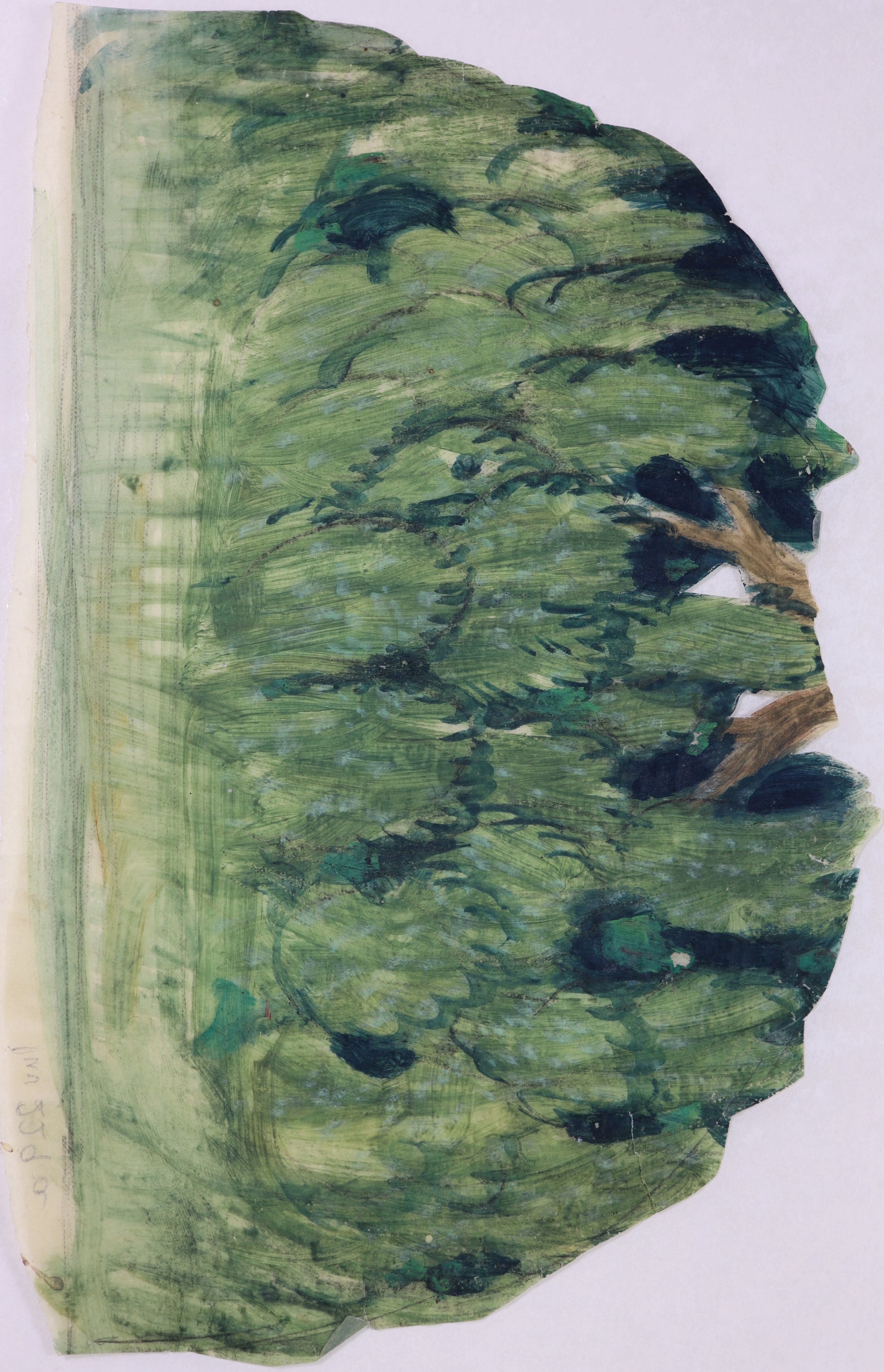 Farbiger Entwurf für den Baum in Inv.-Nr. 229, ohne Stamm (Stift Heiligenkreuz CC BY-NC-SA)