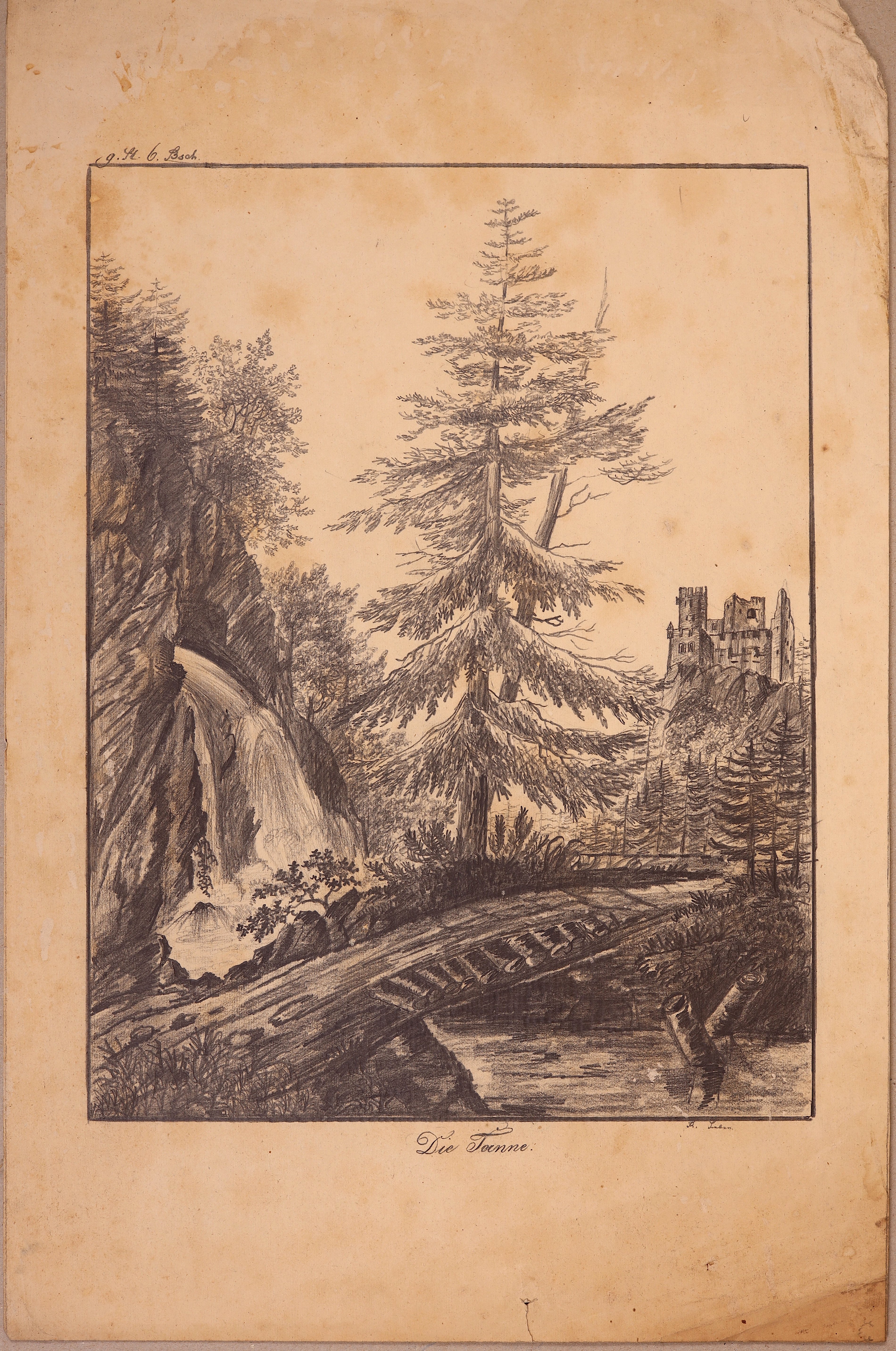 Waldlandschaft mit einer Tanne an einer Holzbrücke, einem Wasserfall und einer Burgruine (Die Tanne) (Stift Heiligenkreuz CC BY-NC-SA)