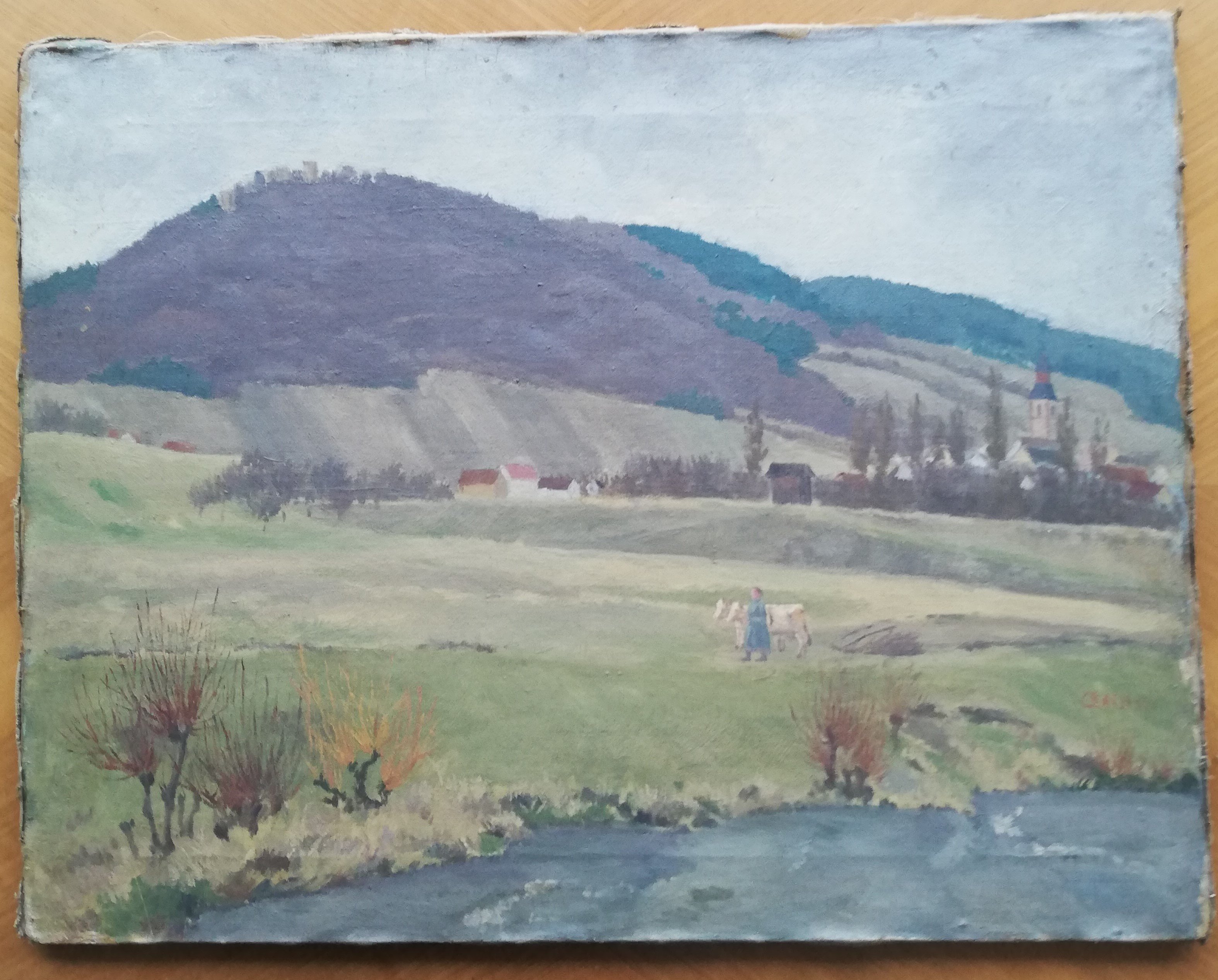 Nagold Ansicht mit Burgberg 1915 (Museum im Steinhaus Nagold CC BY-NC-SA)