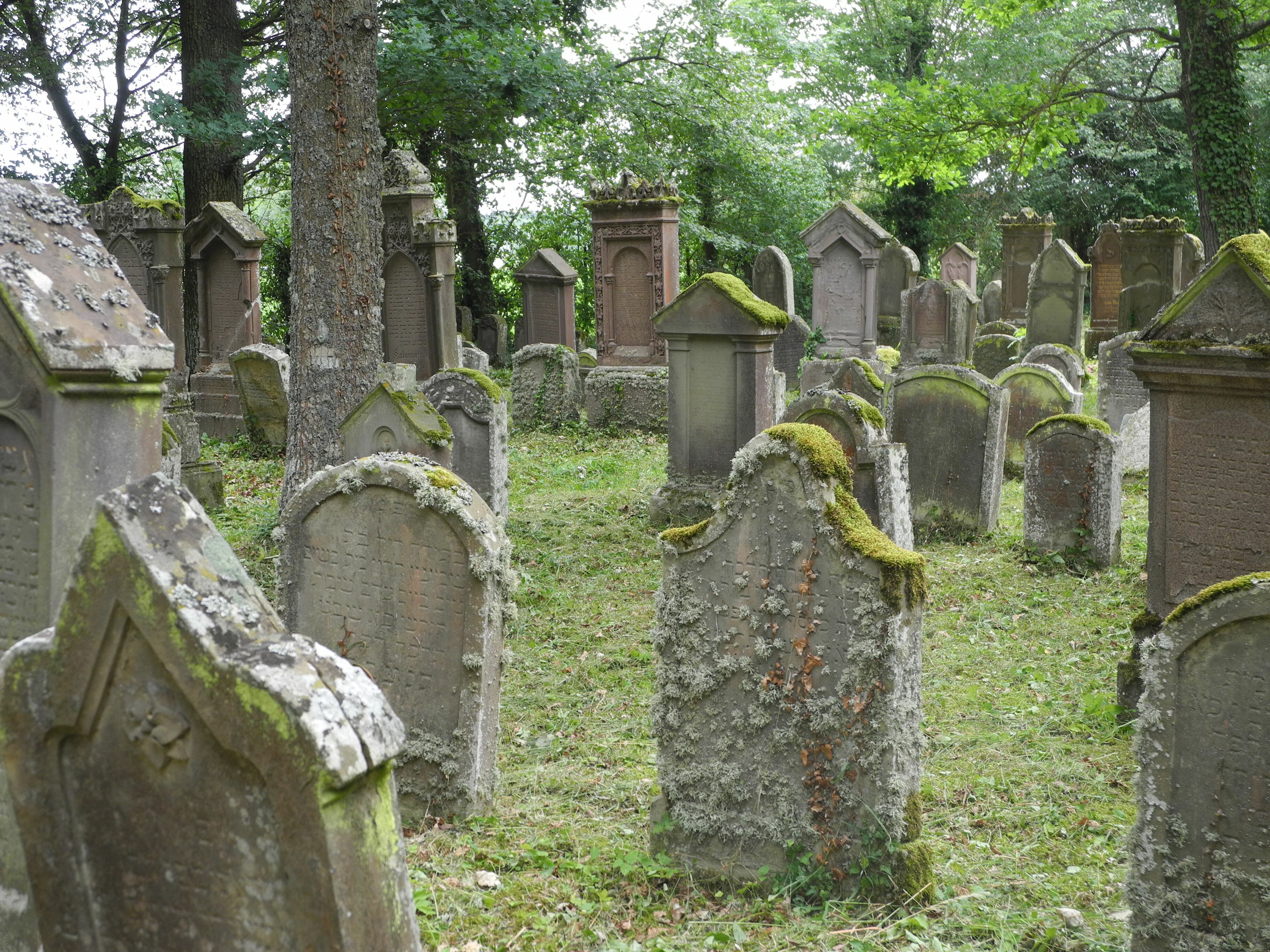Grabsteine auf dem jüdischen Friedhof Baisingen (Kulturamt, Stadtarchiv und Museen, Rottenburg am Neckar CC BY-NC-SA)