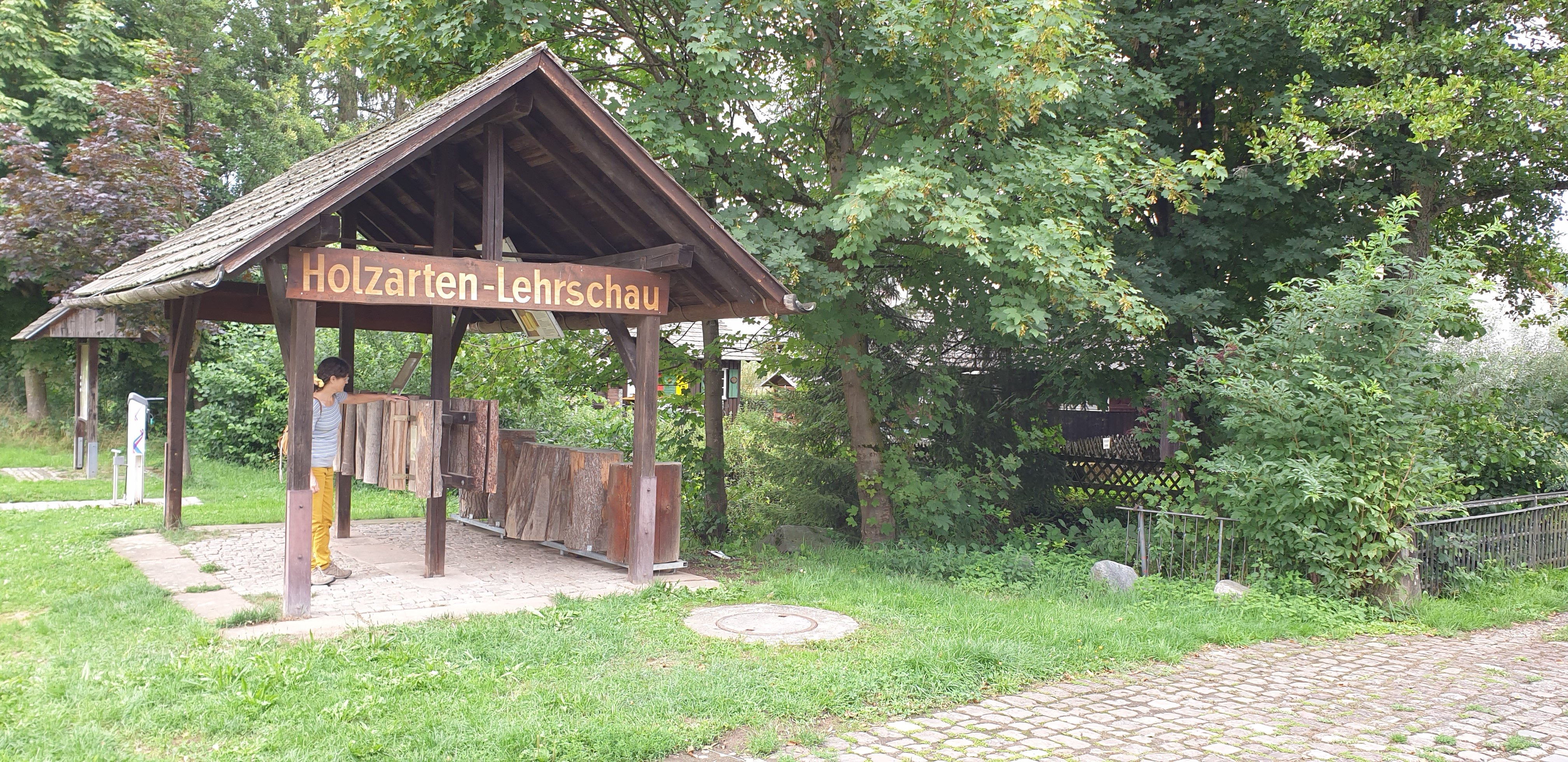Holzartenlehrschau (Hammerschmiede mit Bienen- und Heimatmuseum Reichenbach CC BY-NC-SA)