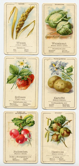 Obst- und Gemüsequartett von der Firma Bernhard Dondorf (Deutsches Spielkartenmuseum, Leinfelden-Echterdingen CC BY-NC-SA)