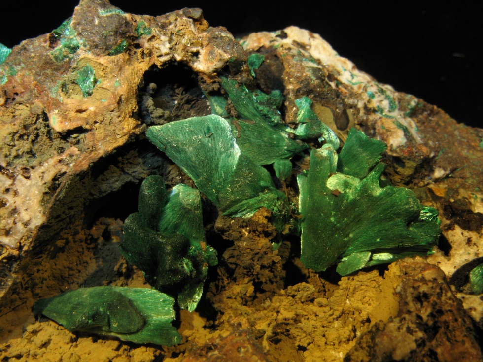 Malachit aus der Grube Clara in Oberwolfach (MiMa Museum für Mineralien und Mathematik CC BY-NC-SA)