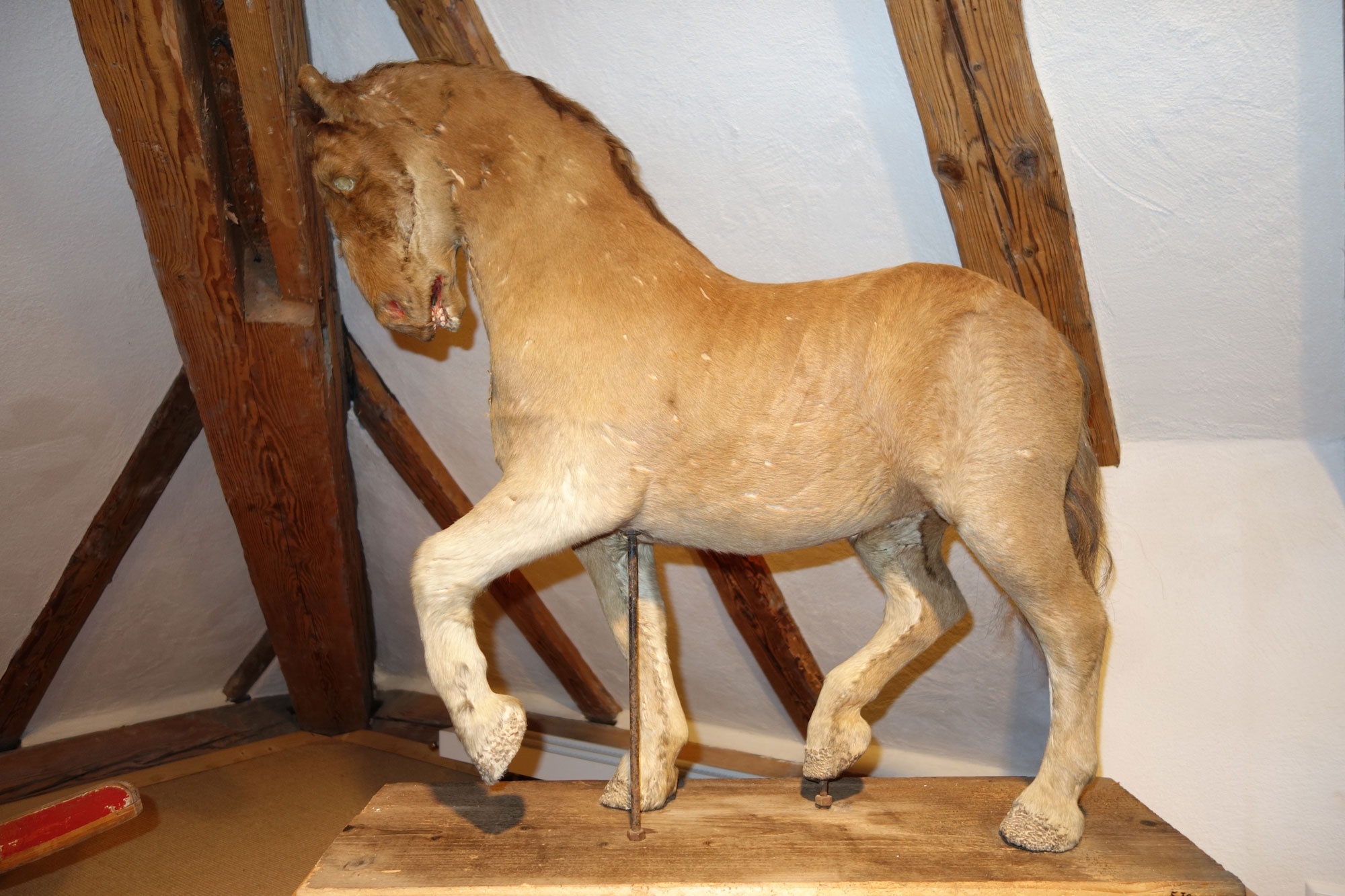 Spielzeugpferd (Städtisches Museum Welzheim CC BY)