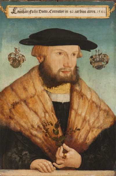 Porträt des Mediziners und Botanikers Leonhart Fuchs (Landesmuseum Württemberg, Stuttgart CC BY-SA)