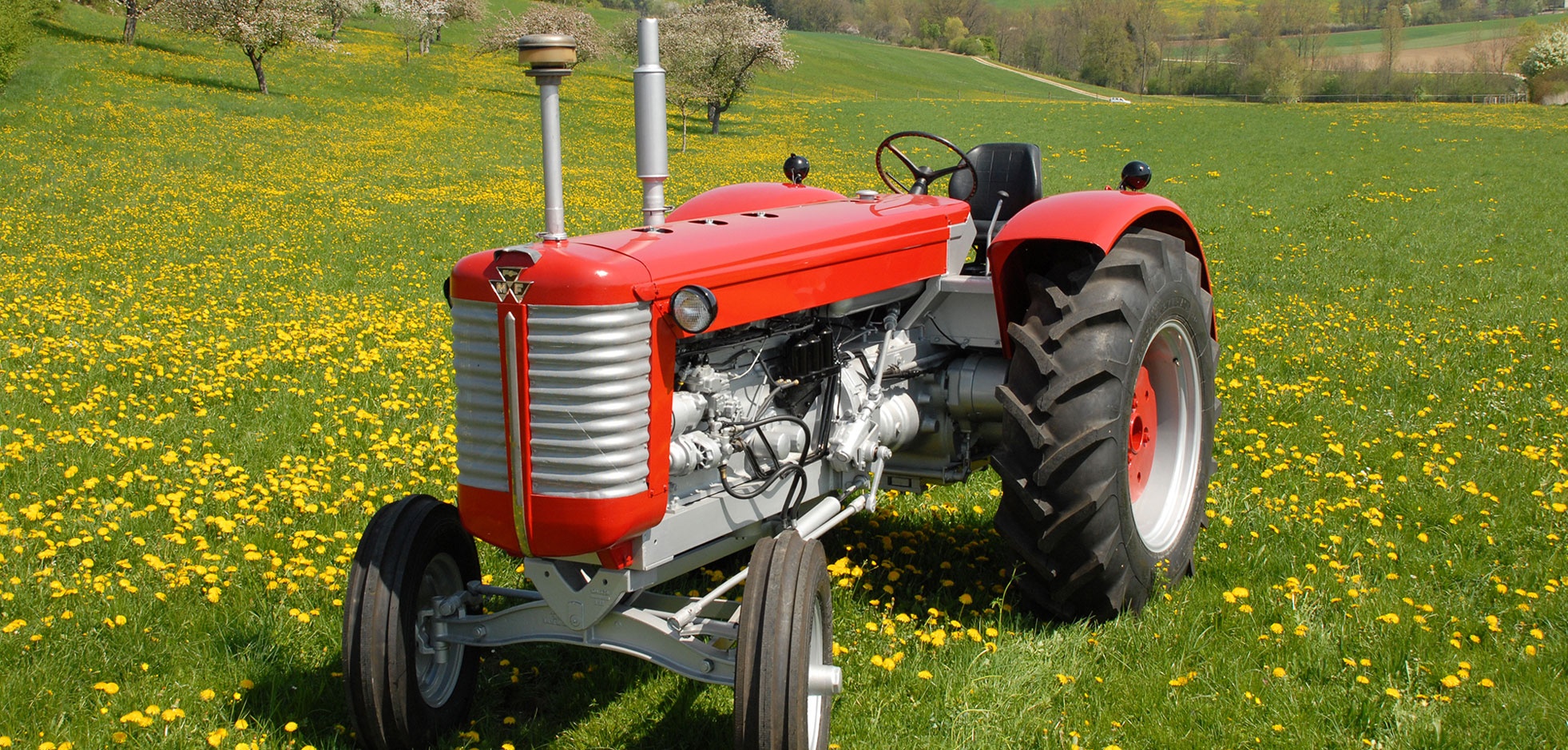 Massey Ferguson MF 95 (Traktormuseum Bodensee CC BY-NC-SA)
