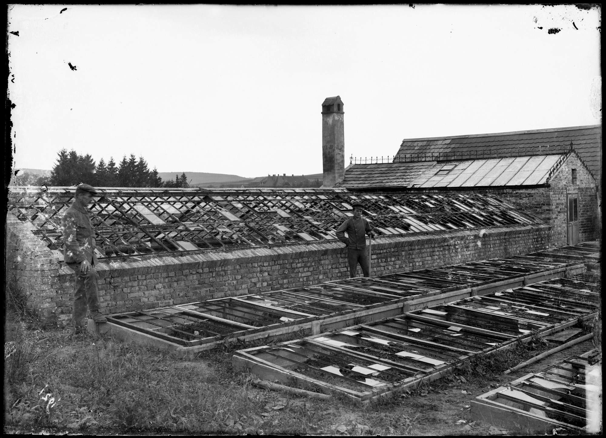 Hagelschaden der Gärtnerei Hemberger in Buchen (3 Aufnahmen) (Bezirksmuseum Buchen CC BY-NC-SA)
