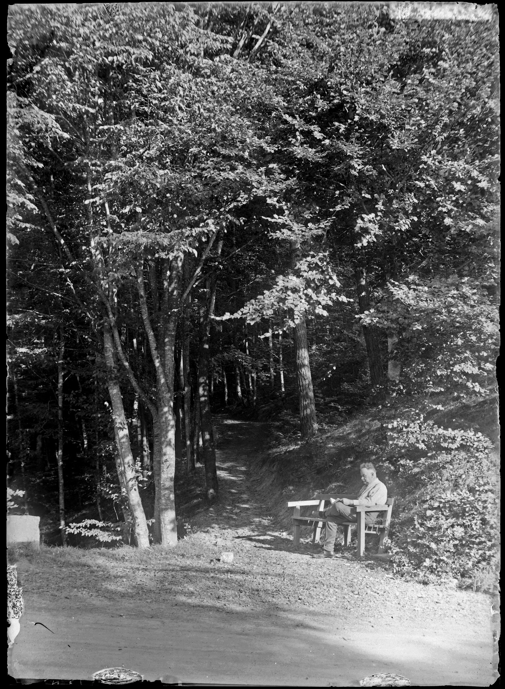 Karl Tschamber auf einer Waldbank (Bezirksmuseum Buchen CC BY-NC-SA)