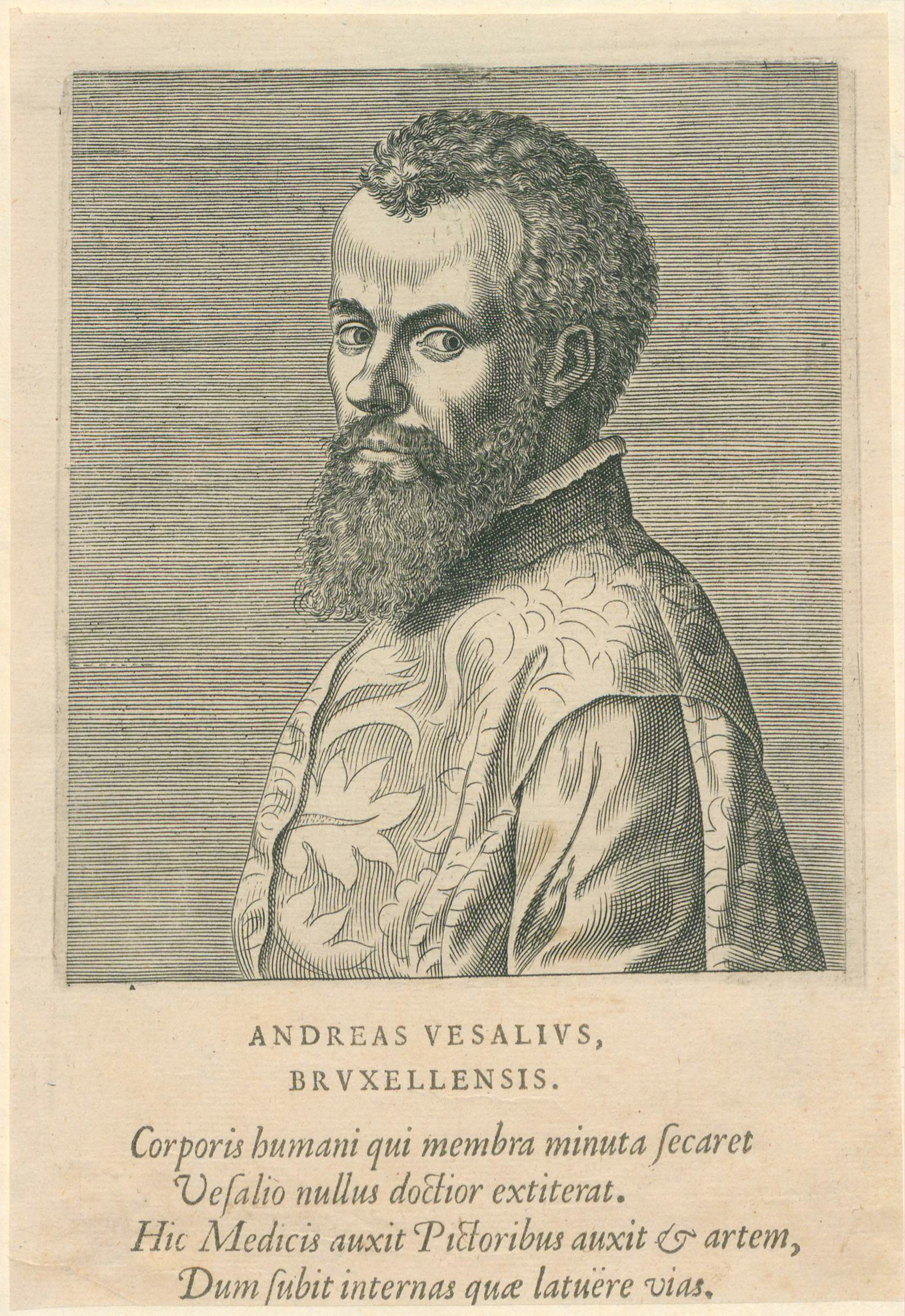 Bildnis Andreas Vesalius (Museum im Melanchthonhaus Bretten CC BY-NC-SA)