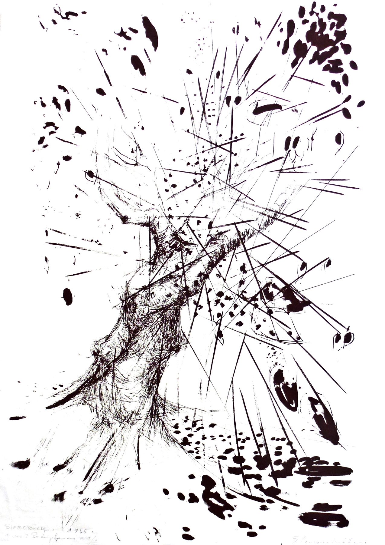 Baum - explosierend (Kunststiftung Eleonore Kötter CC BY-NC-SA)