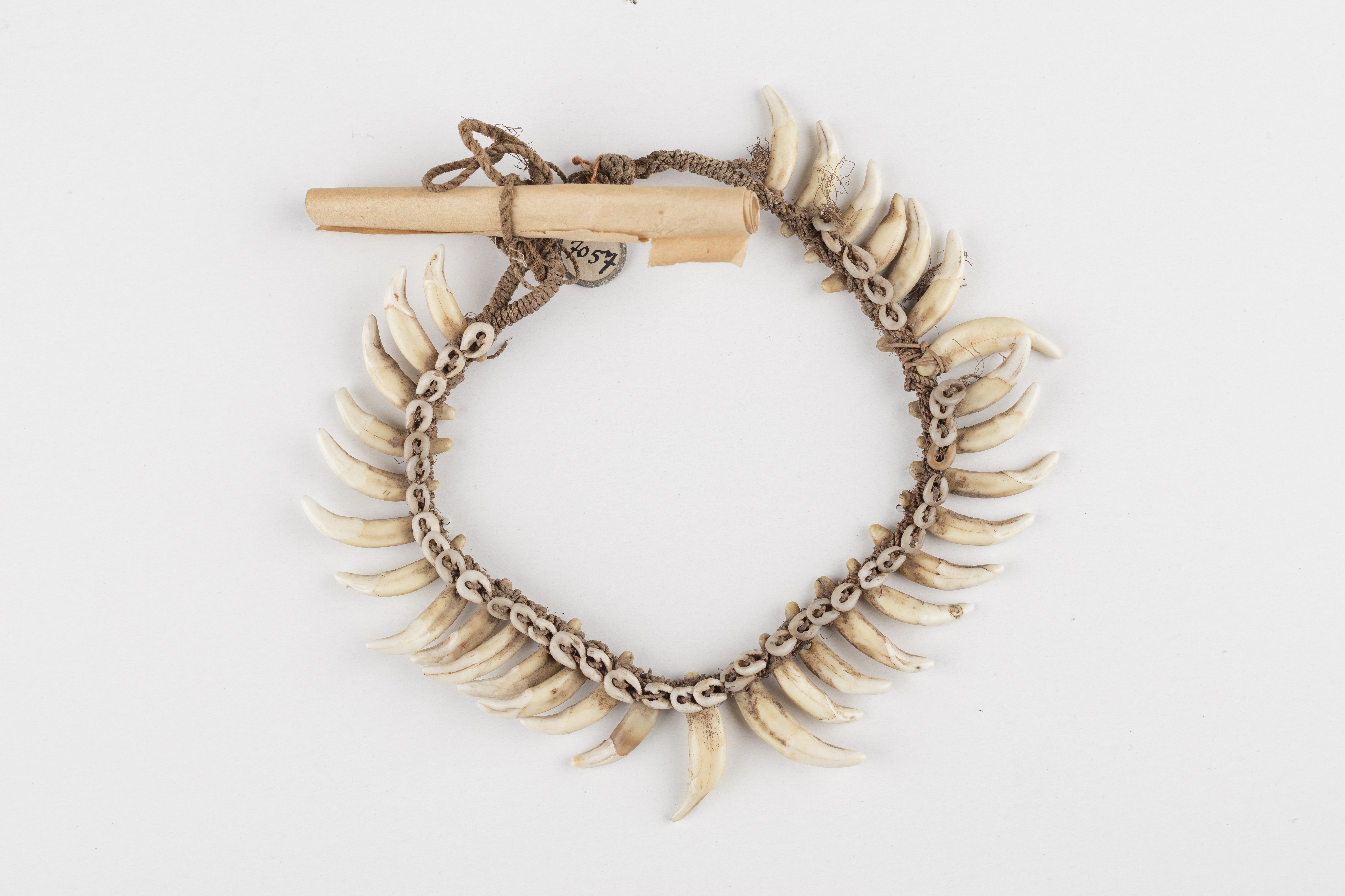 Halskette (Museum Ulm CC BY-NC-SA)