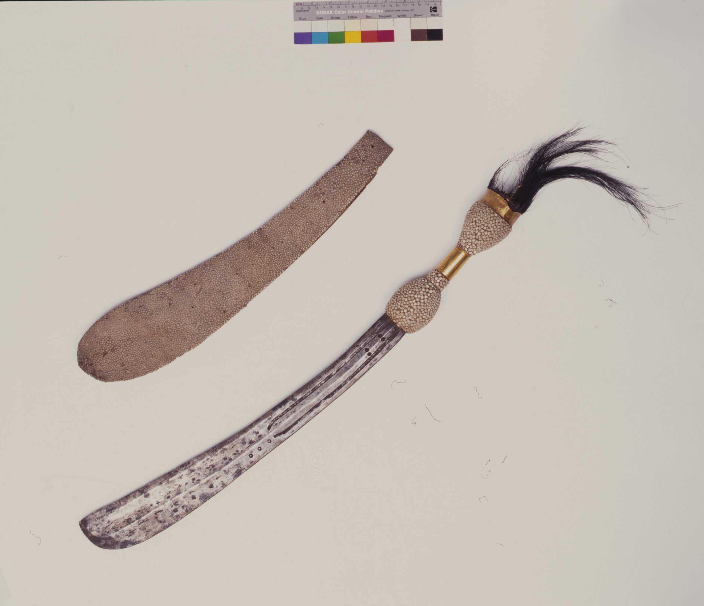 Schwert mit Scheide (Museum Ulm CC BY-NC-SA)