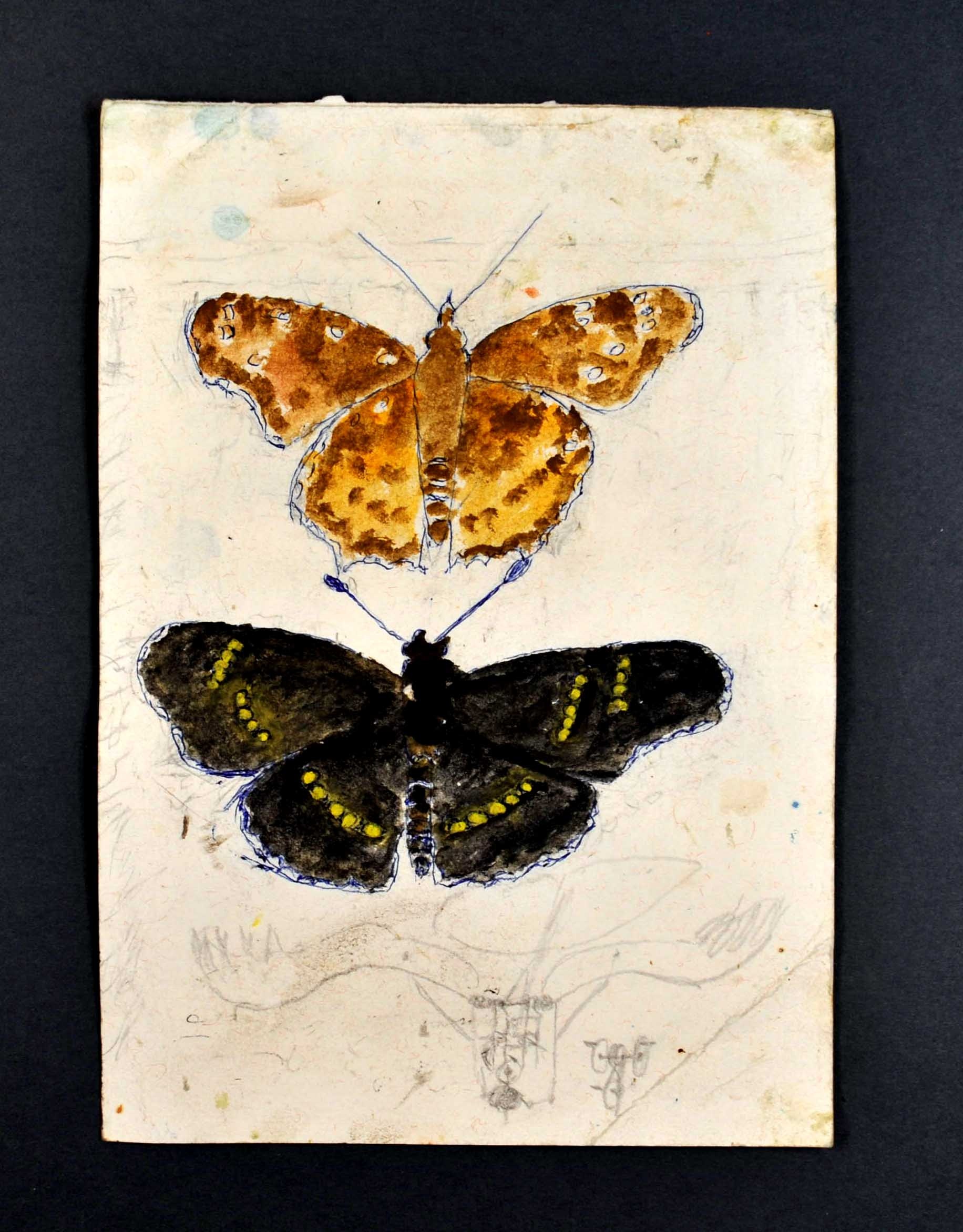 Schmetterling, zwei ; Fluggerät (Gustav Mesmer Stiftung CC BY-NC-SA)
