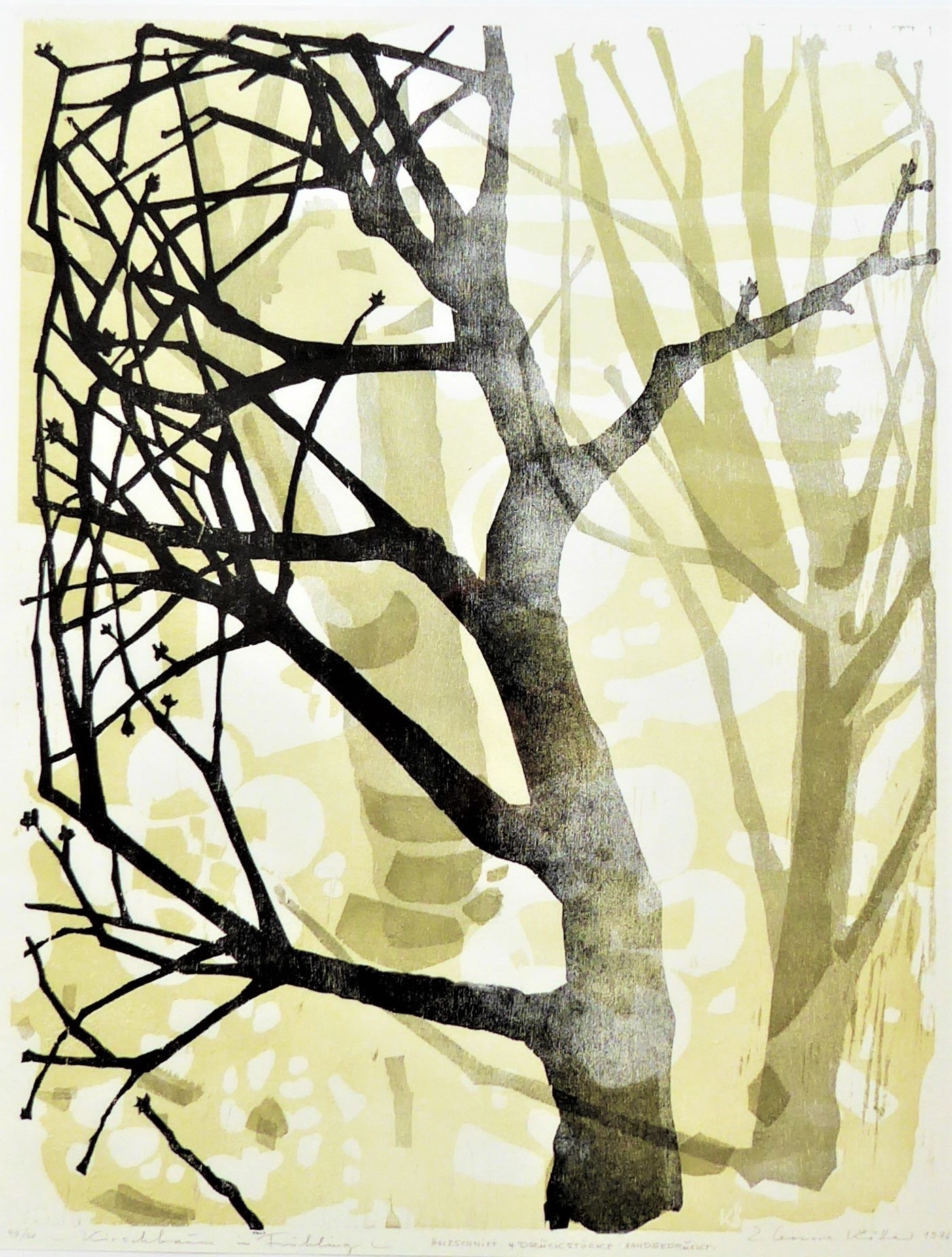 Kirschbaum im Frühling (Kunststiftung Eleonore Kötter CC BY-NC-SA)