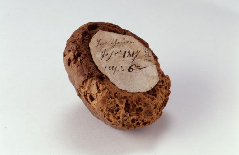 Brot aus dem Hungerjahr 1817 (Heimatmuseum Reutlingen CC BY-NC-SA)
