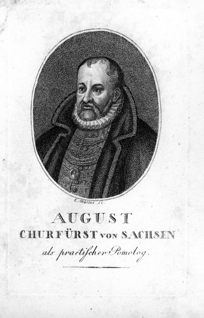 August Kurfürst von Sachsen, gen. der Fromme (Museum im Melanchthonhaus Bretten CC BY-NC-SA)