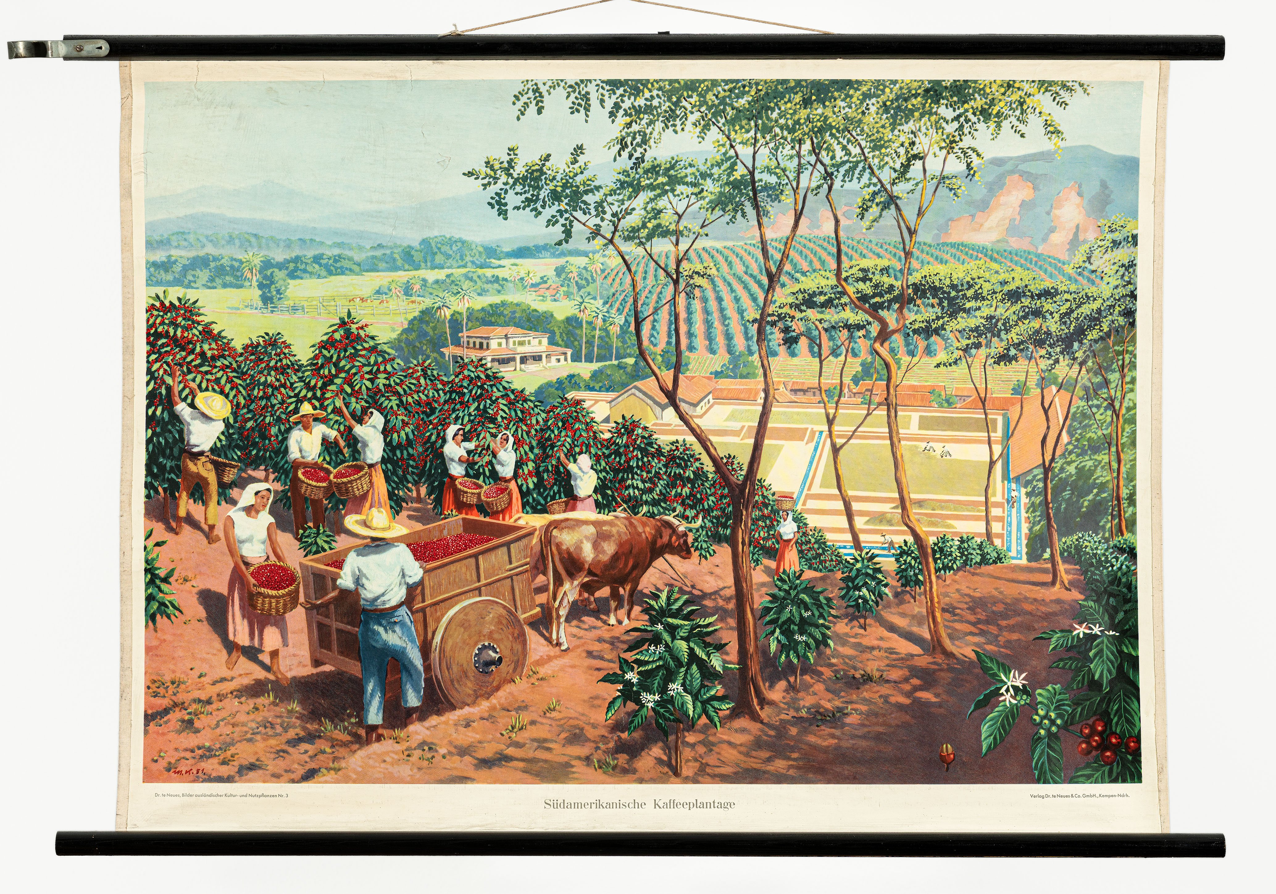 Schulwandbild "Südamerikanische Kaffeeplantage" (Mitte Museum/Bezirksamt Mitte von Berlin CC BY-NC-ND)