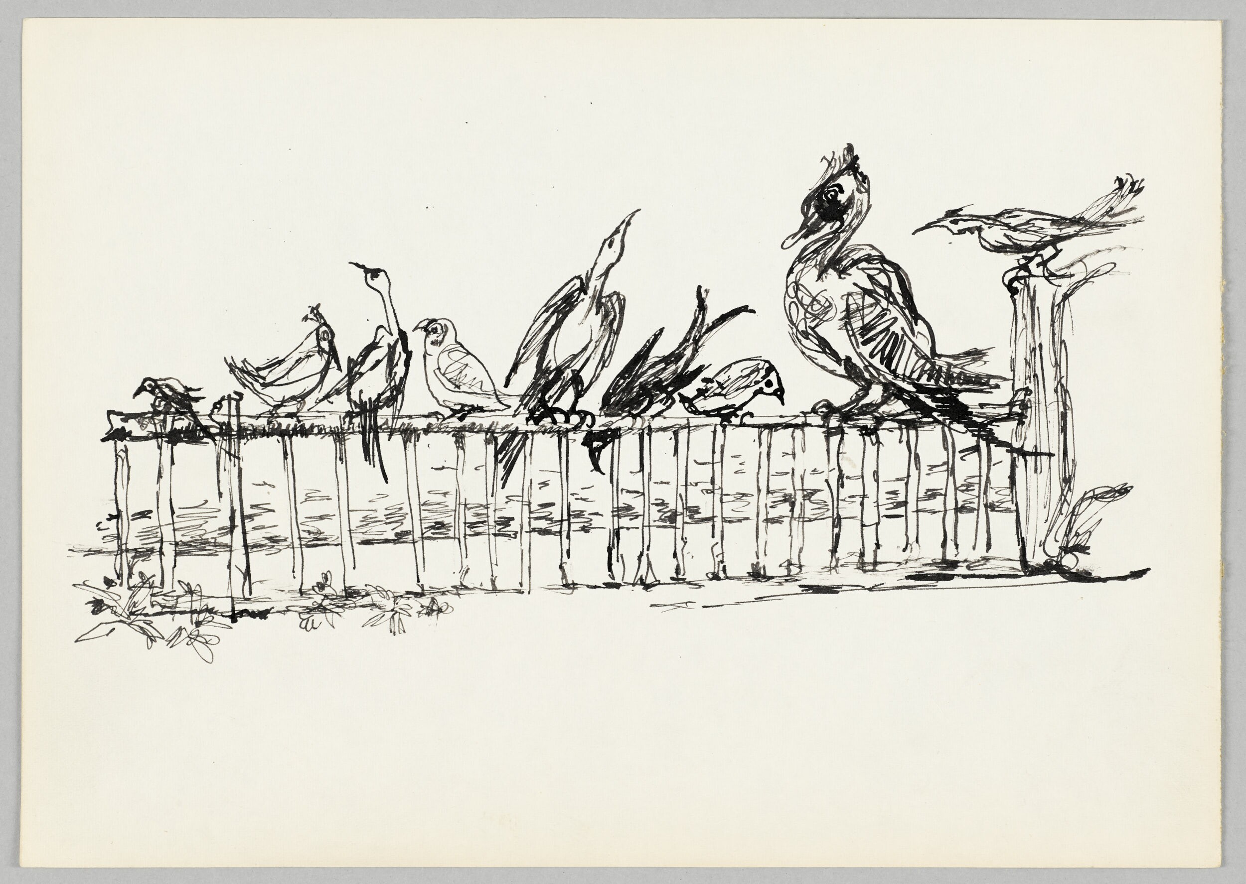 [Vögel auf einer Zaunstange] (Kunstsammlung Pankow, Berlin RR-F)