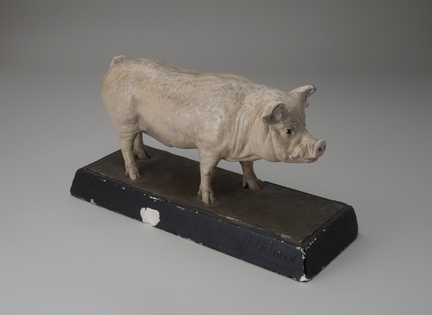 Modell - Schwein (Stiftung Domäne Dahlem - Landgut und Museum, Weiternutzung nur mit Genehmigung des Museums CC BY-NC-SA)