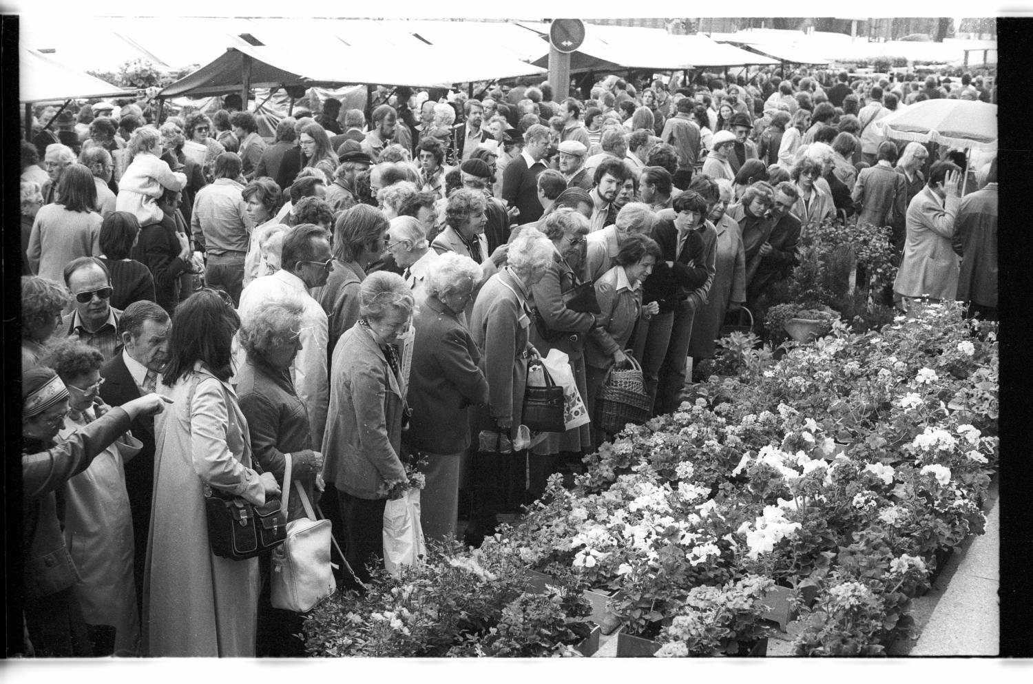 Kleinbildnegative: Blumenmarkt, John-F.-Kennedy-Platz, 1979 (Museen Tempelhof-Schöneberg/Jürgen Henschel RR-F)