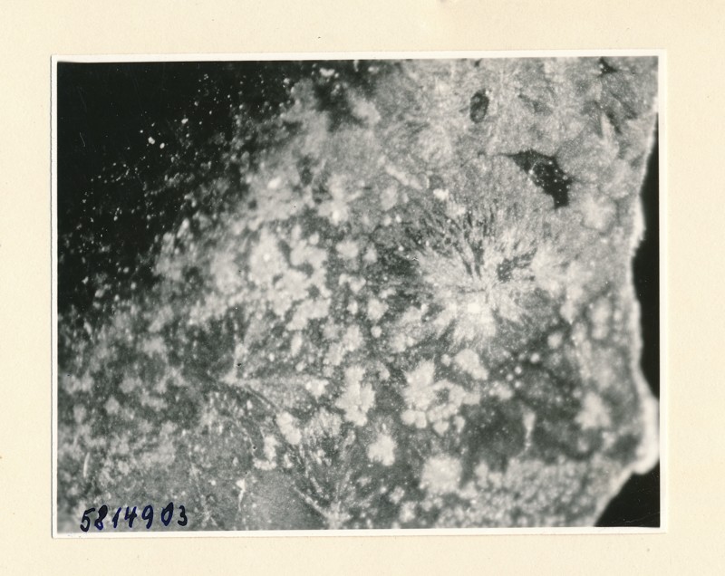 Mikroskopische Aufnahme eines Materials, Hochstromkathode, Bild 1, Foto März 1958 (www.industriesalon.de CC BY-SA)