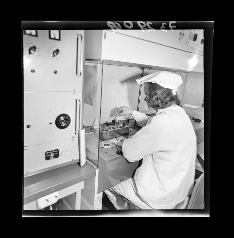 Montage der Epitaxie-Planar-Diode 2, Foto Juni 1973 (www.industriesalon.de CC BY-NC-SA)
