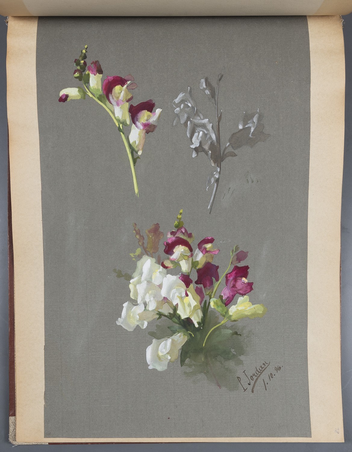 Blumen: Löwenmäulchen-Blüten (Landesgeschichtliche Vereinigung für die Mark Brandenburg e.V., Archiv CC BY)