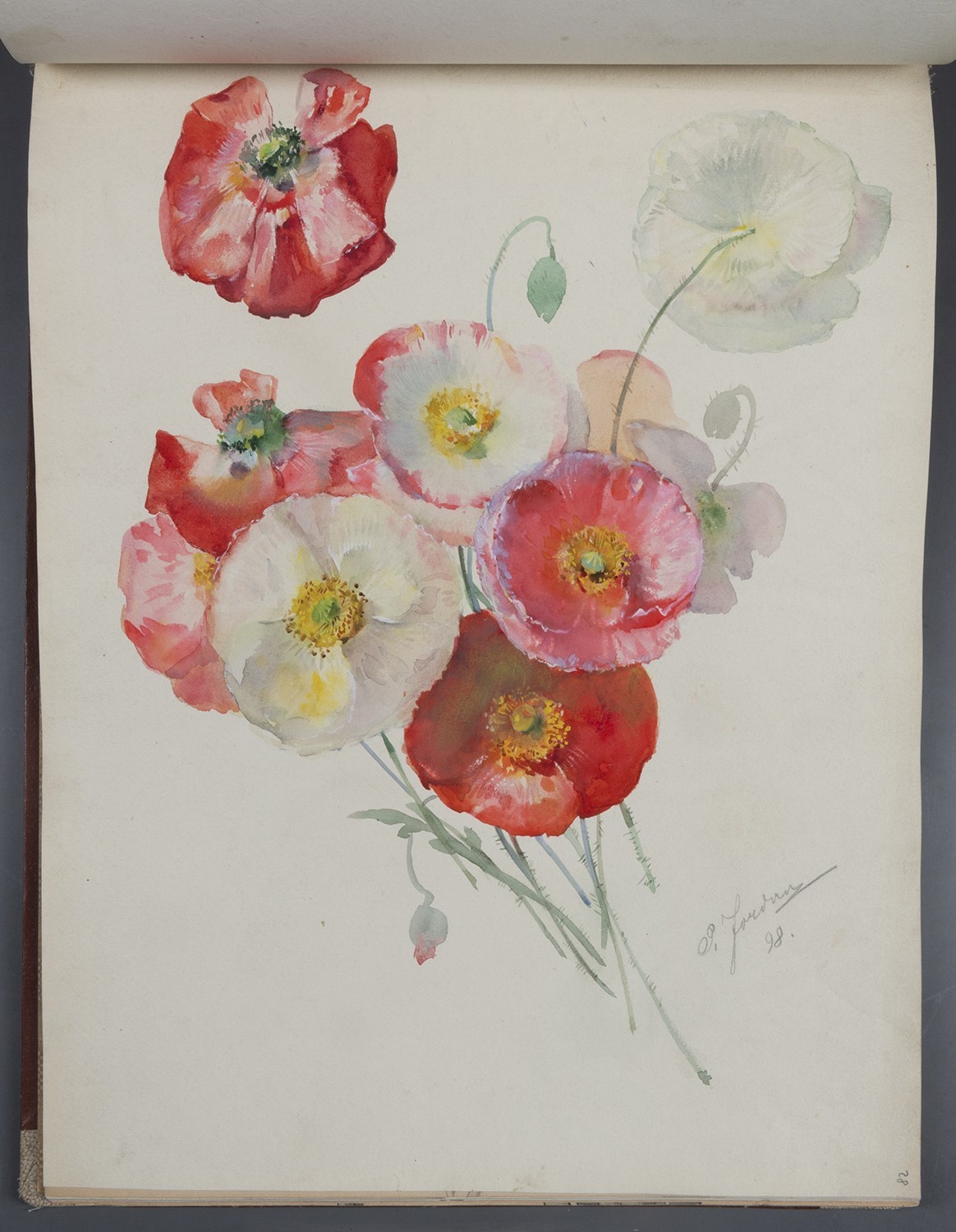 Blumen: Mohnblüten (Landesgeschichtliche Vereinigung für die Mark Brandenburg e.V., Archiv CC BY)