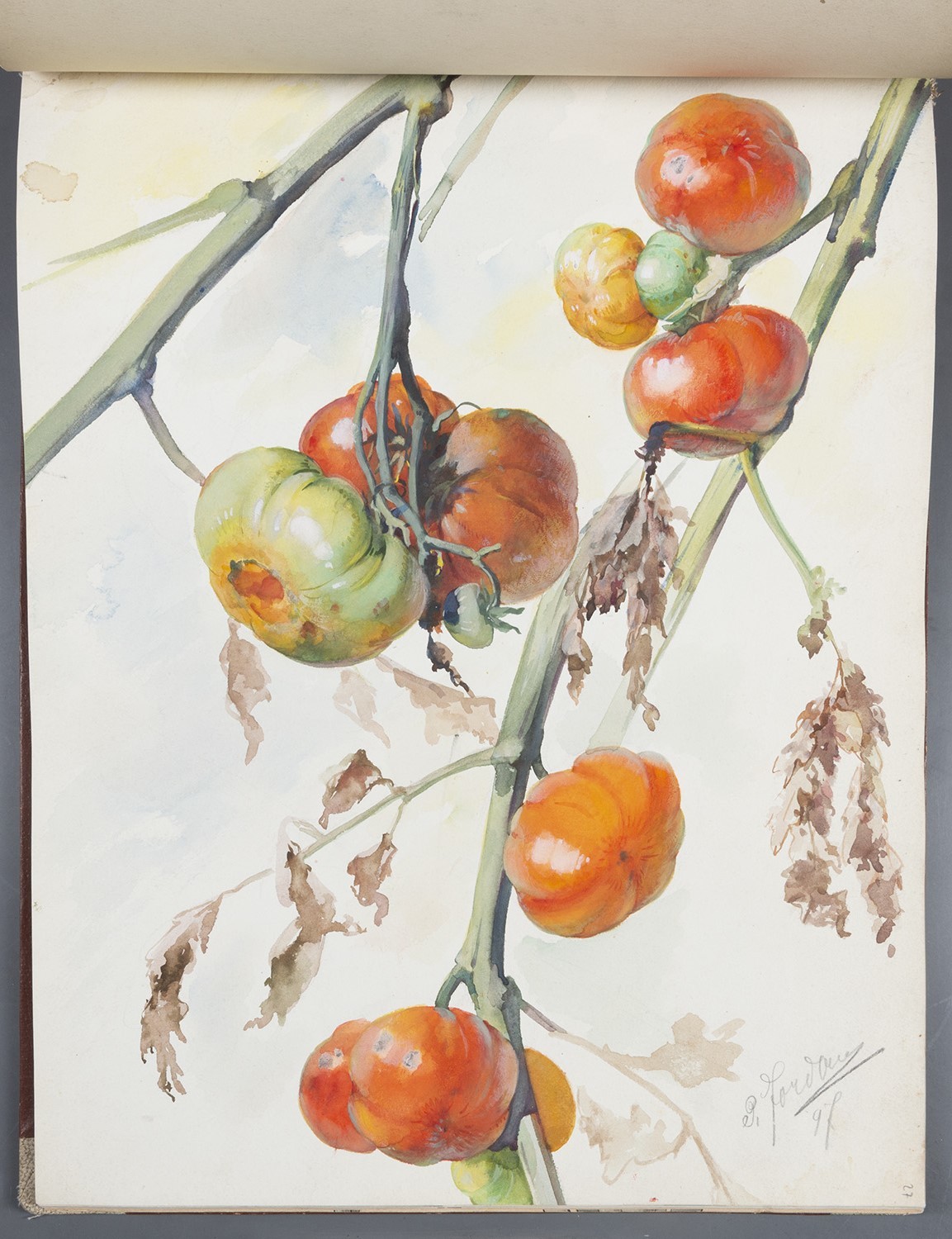 Gemüse: Tomaten (Landesgeschichtliche Vereinigung für die Mark Brandenburg e.V., Archiv CC BY)