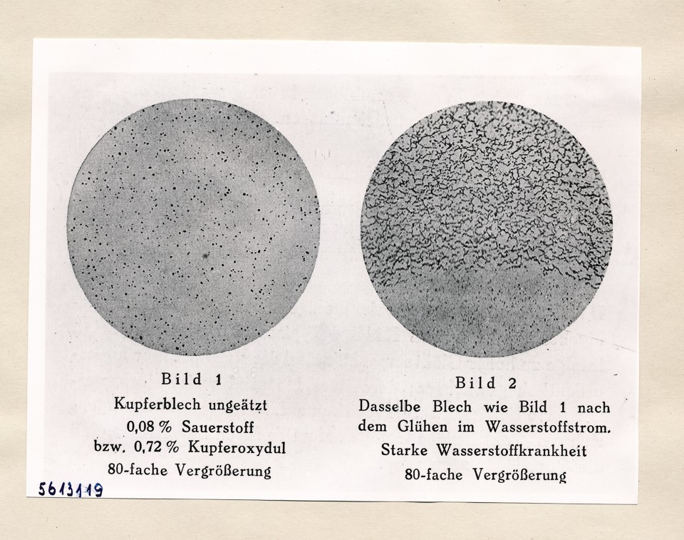 Mikroaufn. aus Mausfeld S. 16 (Repro), Bild 1; Foto, 1957 (www.industriesalon.de CC BY-SA)