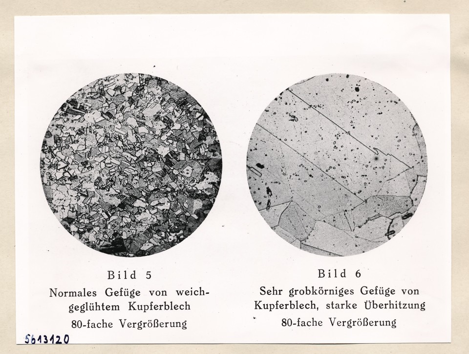 Mikroaufn. aus Mausfeld S. 16 (Repro), Bild 2; Foto, 1957 (www.industriesalon.de CC BY-SA)