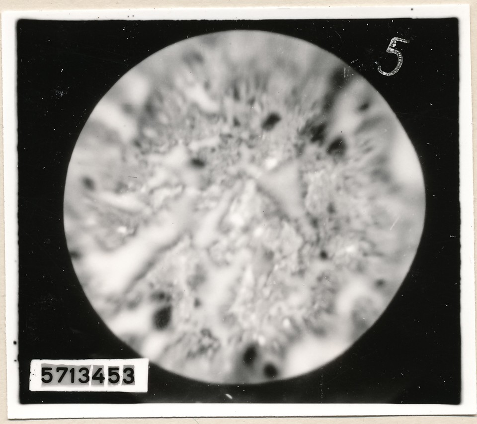 Mikroaufnahme Hochstrom-Kathode, Bild 18; Foto, 1957 (www.industriesalon.de CC BY-SA)