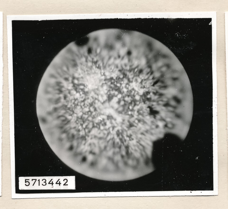 Mikroaufnahme Hochstrom-Kathode, Bild 8; Foto, 1957 (www.industriesalon.de CC BY-SA)