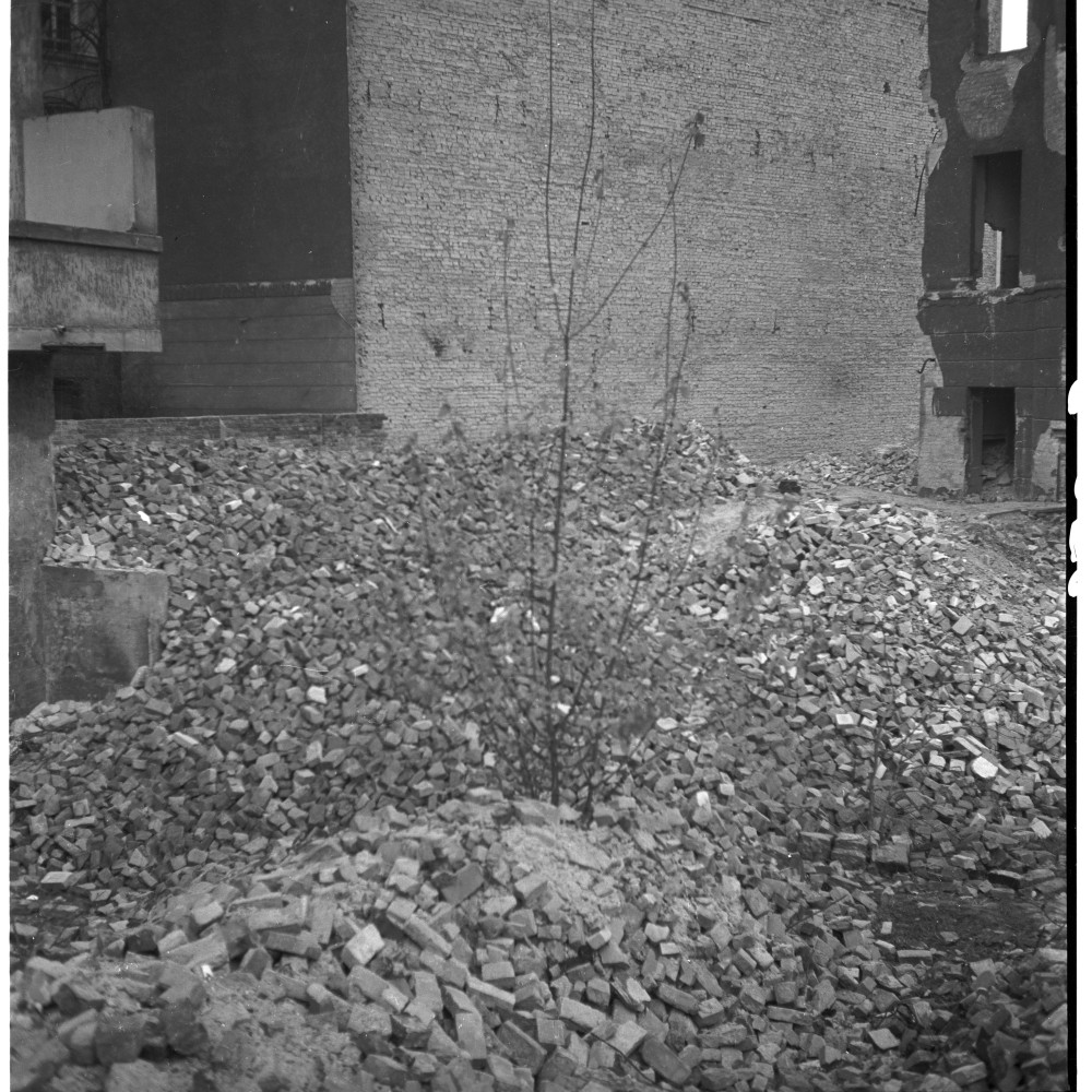 Negativ: Gelände, Bamberger Straße 36, 1952 (Museen Tempelhof-Schöneberg/Herwarth Staudt CC BY-NC-SA)