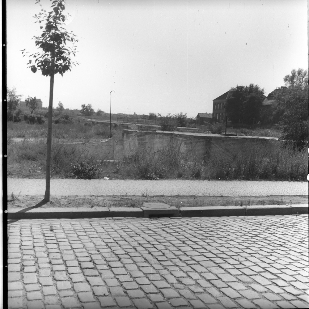 Negativ: Gelände, Grazer Damm 215 und 219, 1952 (Museen Tempelhof-Schöneberg/Herwarth Staudt CC BY-NC-SA)
