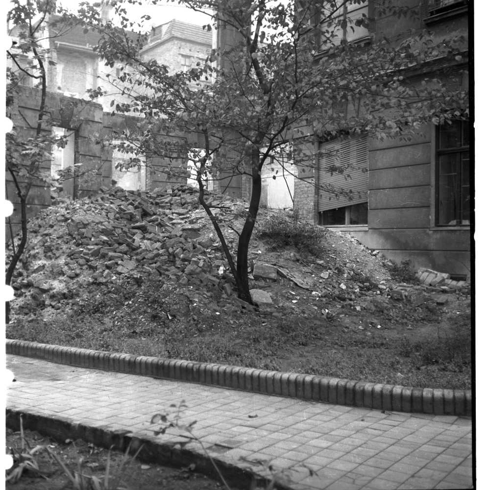 Negativ: Gelände, Neue Winterfeldtstraße 24, 1951 (Museen Tempelhof-Schöneberg/Herwarth Staudt CC BY-NC-SA)