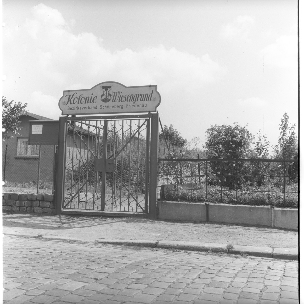 Negativ: Gelände, Priesterweg, 1952 (Museen Tempelhof-Schöneberg/Herwarth Staudt CC BY-NC-SA)