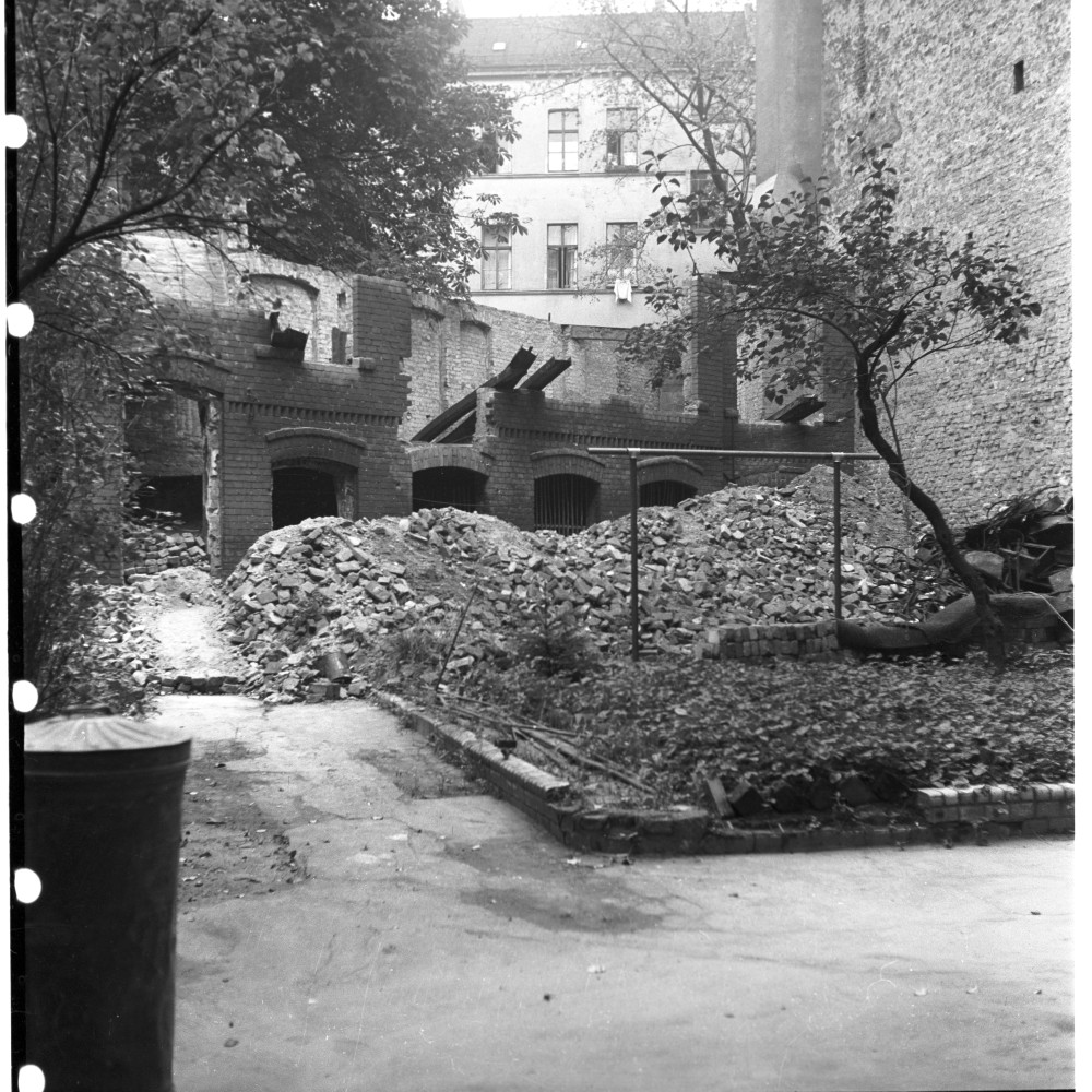 Negativ: Gelände, Roennebergstraße 5 a, 1950 (Museen Tempelhof-Schöneberg/Herwarth Staudt CC BY-NC-SA)