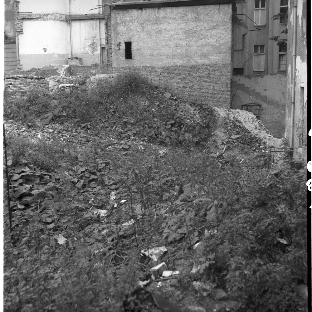 Negativ: Gelände, Wartburgstraße 10, 1952 (Museen Tempelhof-Schöneberg/Herwarth Staudt CC BY-NC-SA)
