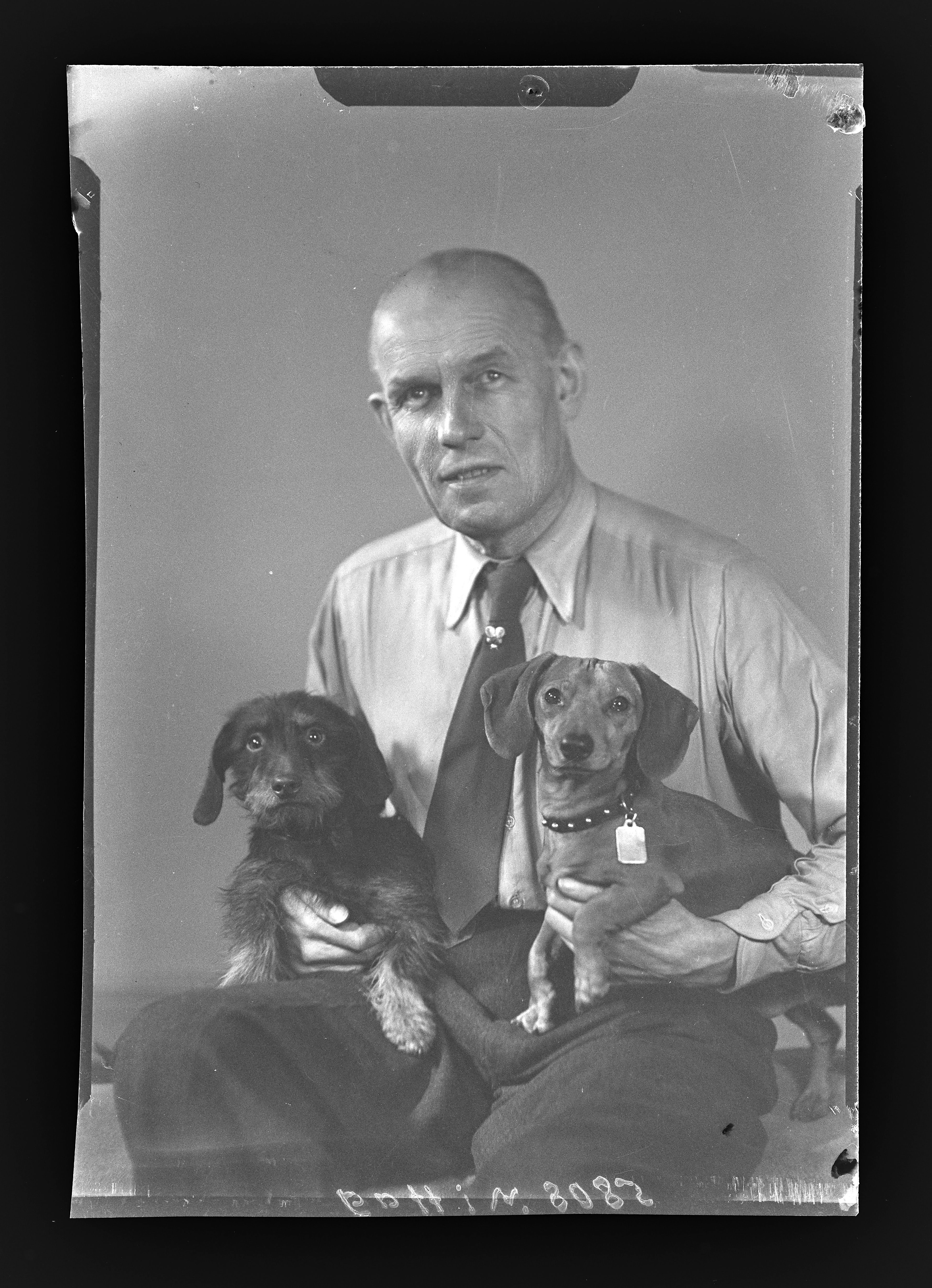 Porträtfotografie Herr Mittag mit zwei Dackeln (1) (Gerda Schimpf Fotoarchiv CC BY)