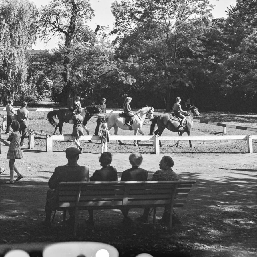 Ponyreiten im Volkspark Friedrichshain,1968. SW-Foto © Kurt Schwarz. (Kurt Schwarz CC BY-NC-SA)