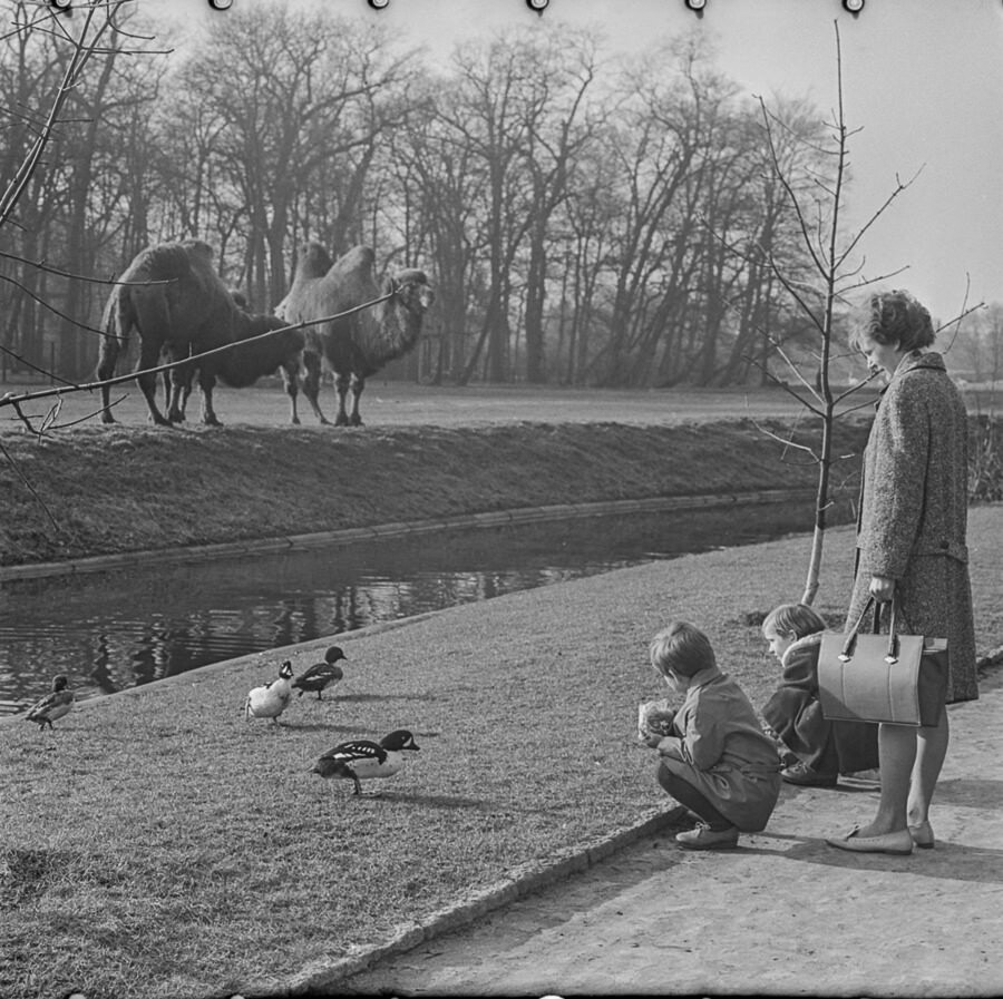 Kinder füttern Enten, 1965. SW-Foto © Kurt Schwarz. (Kurt Schwarz CC BY-NC-SA)
