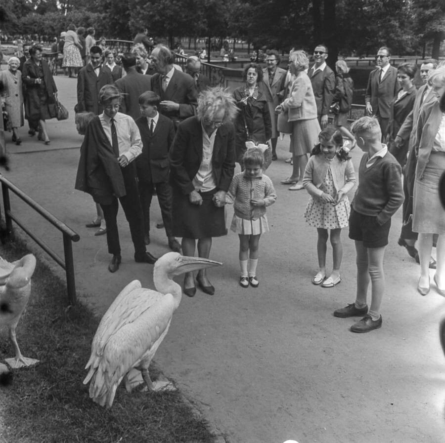 Besucher im Tierpark Friedrichsfelde, 1966. SW-Foto © Kurt Schwarz. (Kurt Schwarz CC BY-NC-SA)