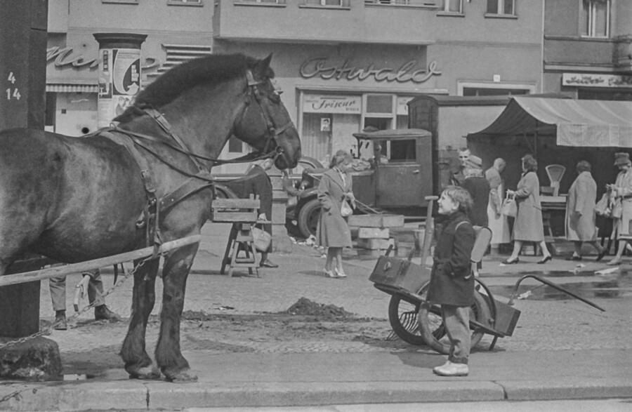 Kind mit Karrenpferd, 1960. SW-Foto © Kurt Schwarz. (Kurt Schwarz CC BY-NC-SA)