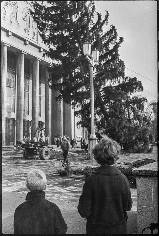 Aufstellen des Weihnachtsbaum vor 'Deutscher Sporthalle', Bild 1, 1960er Jahre. SW-Foto © Kurt Schwarz. (Kurt Schwarz CC BY-NC-SA)