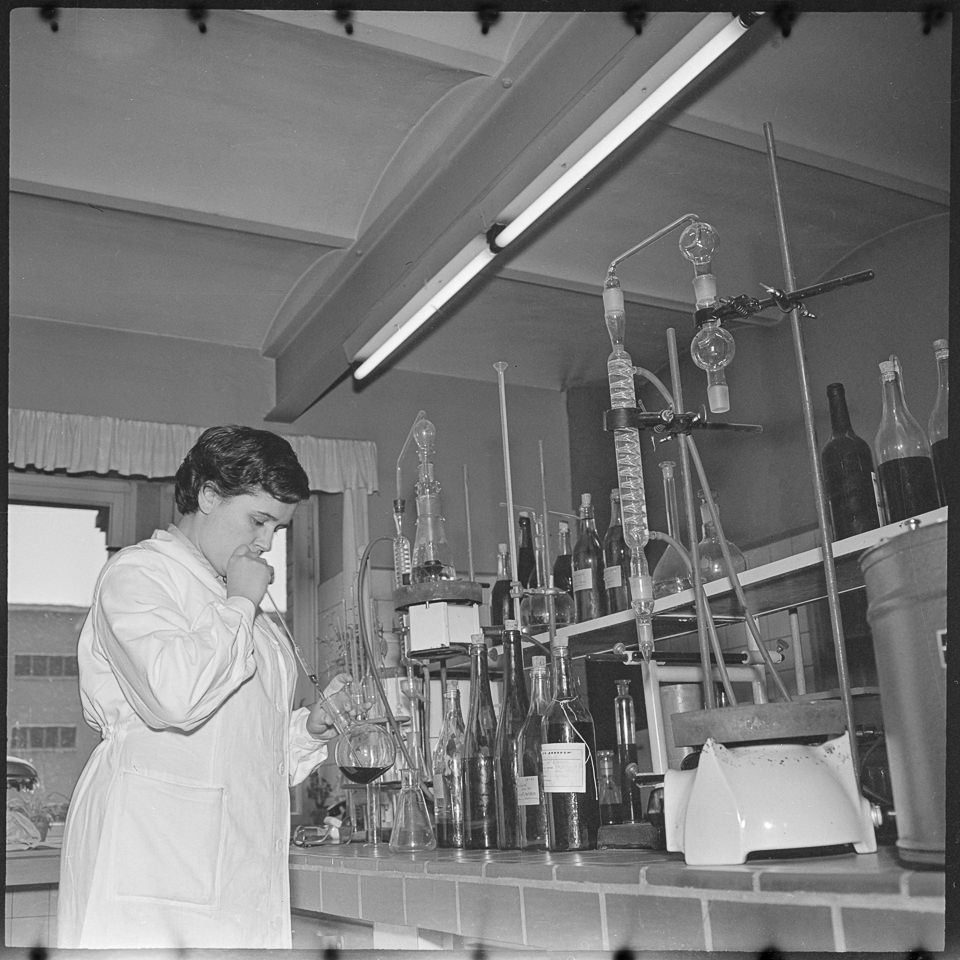 Untersuchung einer Weinprobe im Labor des VEB Weinkelterei, 1963. SW-Foto © Kurt Schwarz. (Kurt Schwarz CC BY-NC-SA)