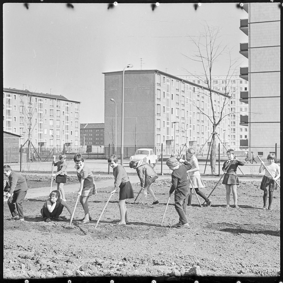 Kinder beim Harken im Schulgarten, 1965. SW-Foto © Kurt Schwarz. (Kurt Schwarz CC BY-NC-SA)